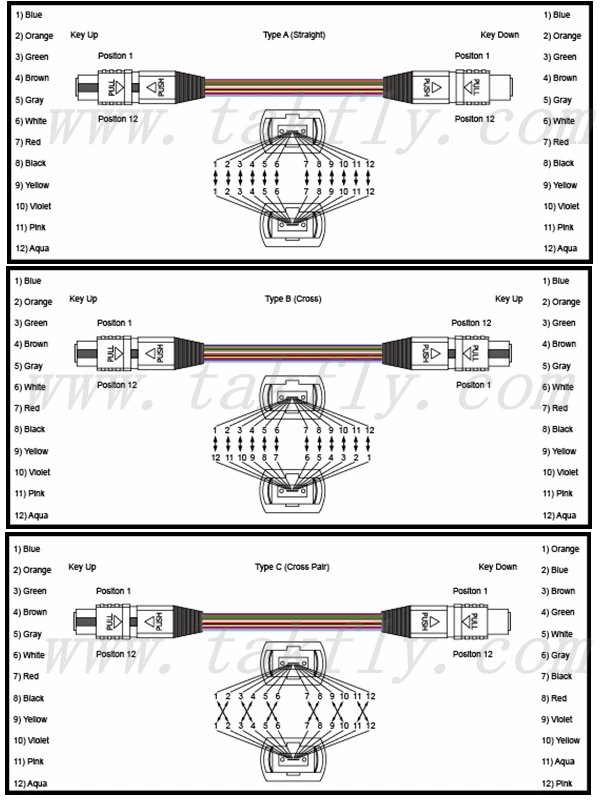 Single Mode Elite Fiber Patchcord MPO Jumper Ofnp Ofnr Trunk Optical Fiber Cable